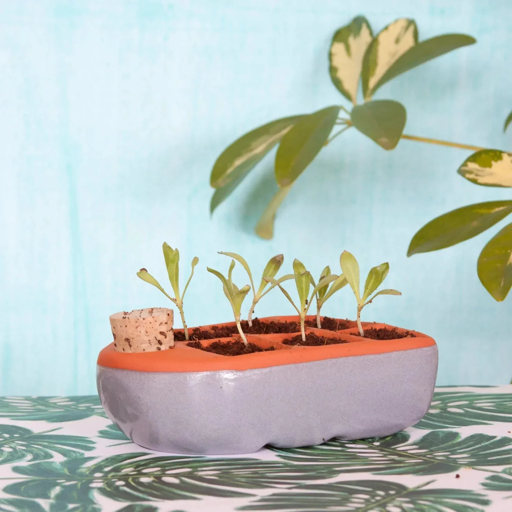 Cute Ceramic Planter
